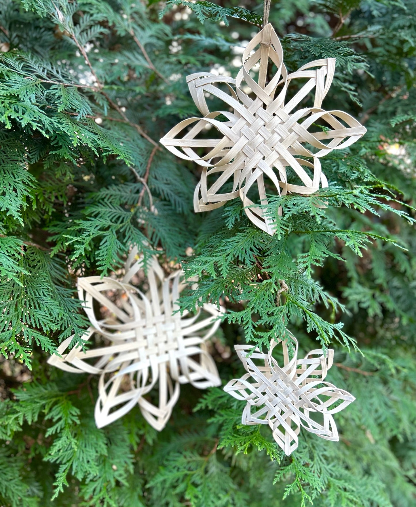 Natural Woven Star